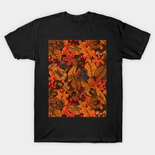 Autumn treasures 1 T-Shirt